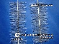 嵯